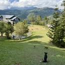 亚庇旅游 缩略图 13