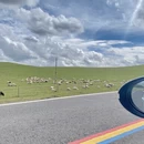 天津旅游 缩略图 1