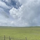 天津旅游 缩略图 15