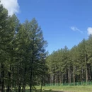 天津旅游 缩略图 3