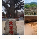 深圳旅游 缩略图 5