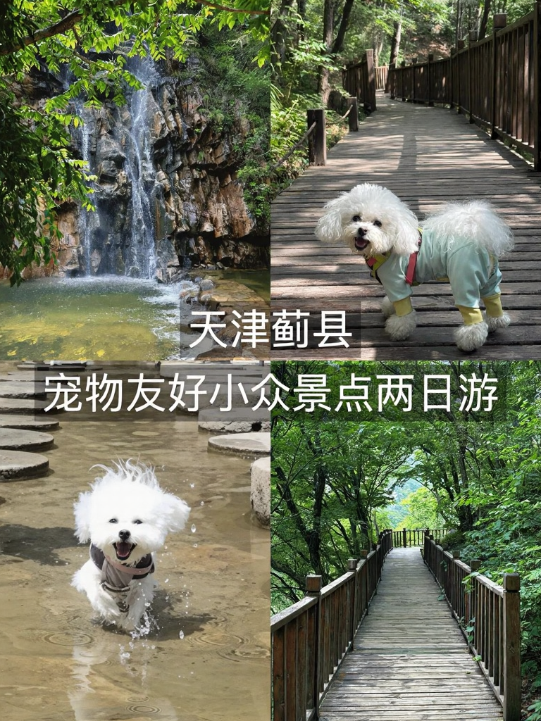 天津旅游