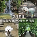 天津旅游 缩略图 1