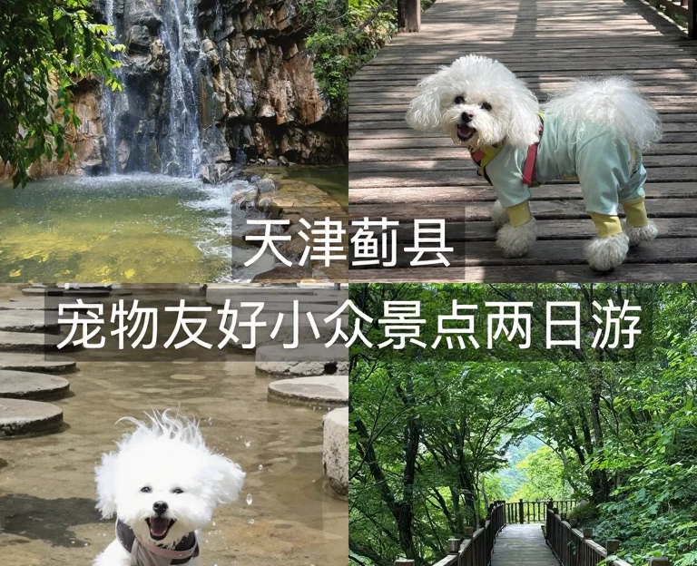 天津旅游 1