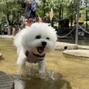天津旅游 缩略图 12