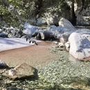 合肥旅游 缩略图 9