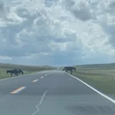 天津旅游 缩略图 10