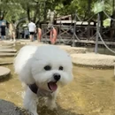 天津旅游 缩略图 10