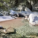 合肥旅游 缩略图 4
