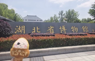 武汉必逛‼️湖北省博物馆超丝滑一日游攻略