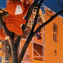 沧州旅游 缩略图 18