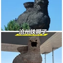 沧州旅游 缩略图 3