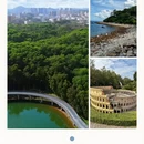 深圳旅游 缩略图 7