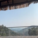 上海旅游 缩略图 13