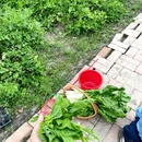 成都旅游 缩略图 4