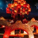金华市博物馆 - 金华市旅游 缩略图 7