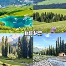 重庆旅游 缩略图 7
