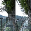 毕节旅游 缩略图 3