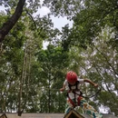 广州旅游 缩略图 13