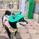 大连旅游 缩略图 11