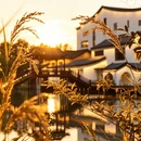无锡旅游 缩略图 7
