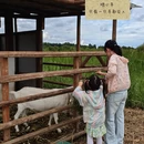 大理州旅游 缩略图 14