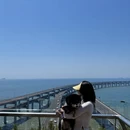大连旅游 缩略图 5