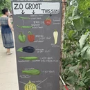 西安旅游 缩略图 2
