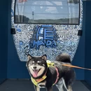 大连旅游 缩略图 4