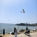 大连旅游 缩略图 10