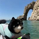 大连旅游 缩略图 3