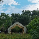 金华旅游 缩略图 7