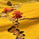 赤峰旅游 缩略图 1