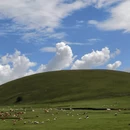 青岛旅游 缩略图 7