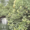 嘉兴旅游 缩略图 7