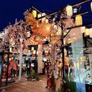 杭州旅游 缩略图 5