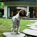 成都旅游 缩略图 14