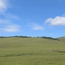 青岛旅游 缩略图 8