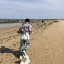 日照旅游 缩略图 4