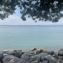 槟城旅游 缩略图 18