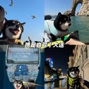 大连旅游 缩略图 1