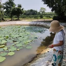 广州旅游 缩略图 15