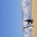 博尔塔拉旅游 缩略图 5