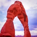 洛杉矶旅游 缩略图 3