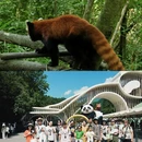 成都旅游 缩略图 8