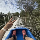 杭州旅游 缩略图 14