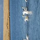 博尔塔拉旅游 缩略图 3