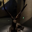 武汉旅游 缩略图 10