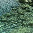 地拉那旅游 缩略图 7