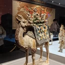 西安旅游 缩略图 2